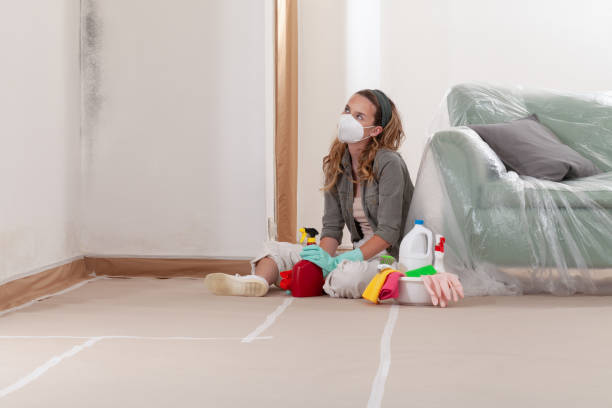 Reliable Mold Cleanup contractor in Windsor Mill, MD by WQB Mold Removal